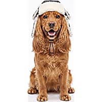 Reddy Sherpa Lined Trapper Pet Hat