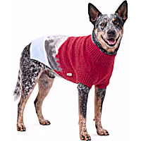 Reddy Snowy Scene Jacquard Knit Pet Sweater