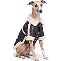 Reddy Sherpa Lined Aviator Pet Jacket