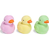 Petco Duckie Shaped Chalk