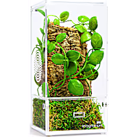 Imagitarium Mini Arboreal Habitat