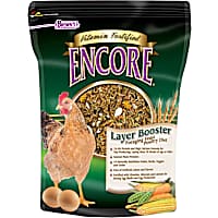 ENCORE Layer Booster Foraging Feast Poultry Diet