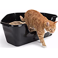 So Phresh High-Back Corner Black Litter Box