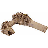 A&E Cage Company Spider Root