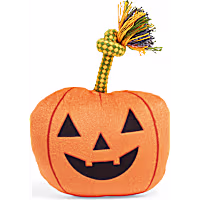 Petco Pumpkin Plush Dog Toy