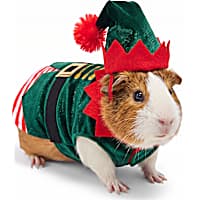 Petco Holiday Elf Small Animal Costume