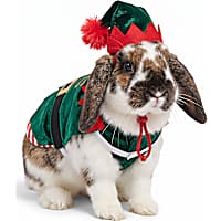 Petco Holiday Elf Rabbit Costume