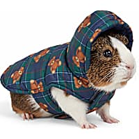 Petco Holiday Teddy Bear Plaid Small Animal Puffer Jacket