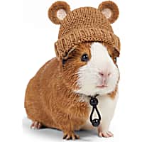 Petco Holiday Teddy Bear Beanie Small Animal Hat