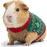 Petco Holiday Fair Isle Small Animal Sweater
