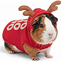 Petco Holiday Ho Ho Ho Antler Small Animal Hoodie
