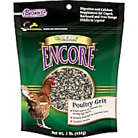 ENCORE Natural Poultry Grit