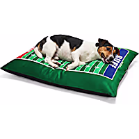 Petco Football Field Pillow Dog Bed