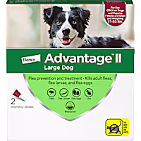 Advantage II Vet-Recommended Flea Treatment & Prevention for Large Dogs