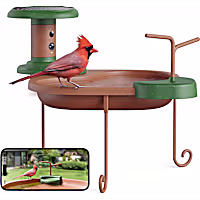 Birdfy Jolly V Smart Bird Bath with Camera Solar Powered