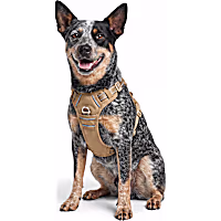 Petco Essential Dog Harness