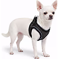 Petco Small Breed Vest Harness