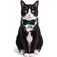 Petco Holiday Green Velvet Bow Breakaway Cat Collar