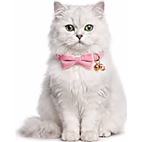 Petco Holiday Pink Velvet Bow Breakaway Cat Collar