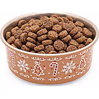 Petco Gingerbread Pet Bowl