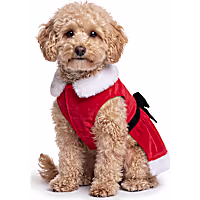 Petco Holiday Mrs. Claus Pet Costume