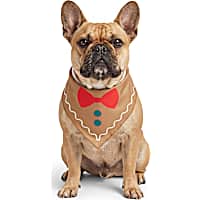 Petco Gingerbread Man Dog Bandana