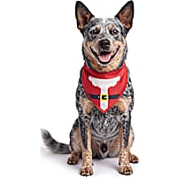 Petco Holiday Santa Dog Bandana