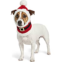 Petco Holiday Santa Pet Beanie