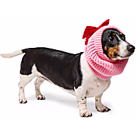 Petco Holiday Bow Pet Scarf