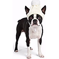 Petco Holiday White Pom Pet Hat