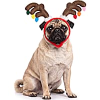 Petco Holiday Antler Pet Costume Headband