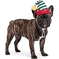 Petco Holiday Elf Pet Costume Hat