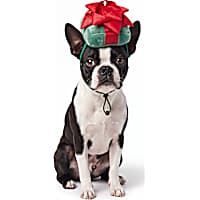 Petco Holiday Gift Bow Pet Costume Hat