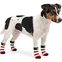 Petco Holiday Santa Stripe Pet Socks