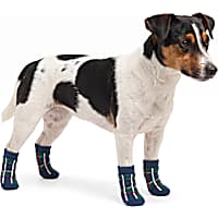 Petco Holiday Navy Plaid Pet Socks