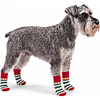 Petco Holiday Elf Stripe Pet Socks