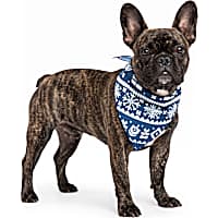 Petco Holiday Hanukkah Dog Bandana