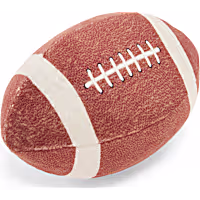 Petco 2 for $5 Mini Football Plush Dog Toy