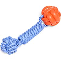 Petco Blue/Orange Knotted Ball Rope TPR Dog Toy