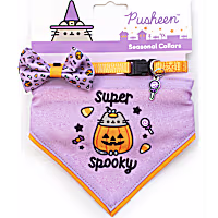 Pusheen Pumpkin Bandana Set for Cats