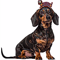 RUBIES Slinky Ears for Dogs