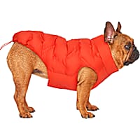 Canada Pooch Waterproof Sport Puffer for Dogs