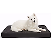 Petco Durable Orthopedic Gusset Dog Bed