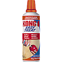 KONG Easy Treat Pumpkin Dog Treats