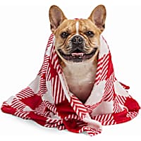 Petco Holiday Red/White Gingham Pet Throw Blanket