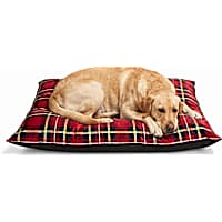 Petco Red/Green Stripe Pillow Lounger Dog Bed