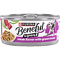 Purina Beneful Steak Flavor and Gravy with Green Beans Wet Dog Food