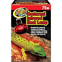 Leopard 2025 gecko bulb