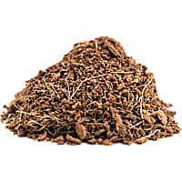 Galapagos Invertebrate Tropicoco Soil Natural Compressed Brick 8 Quarts