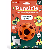 Woof Orange Pupsicle Long Lasting Refillable Dog Toy